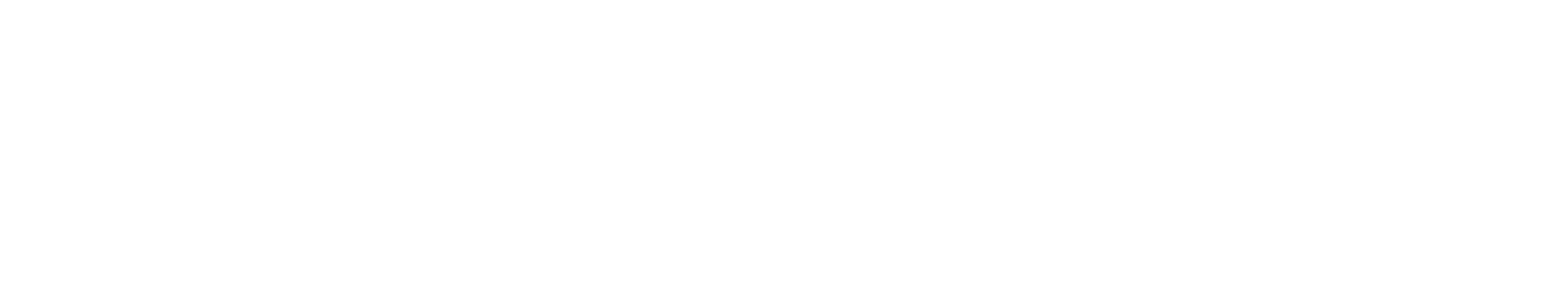 Failte Ireland Logo